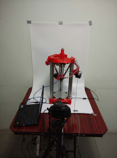 sliced light color  5